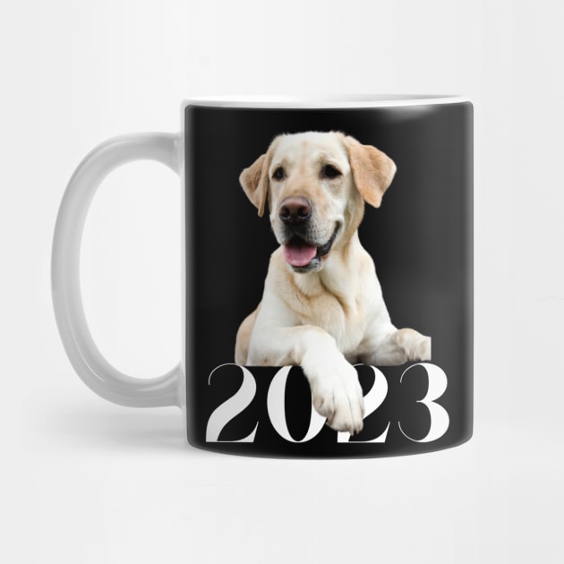 2023 Canine Design by B C Designs